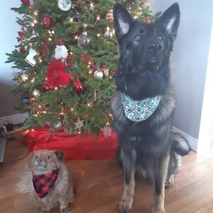 Meet your Posher, Anne